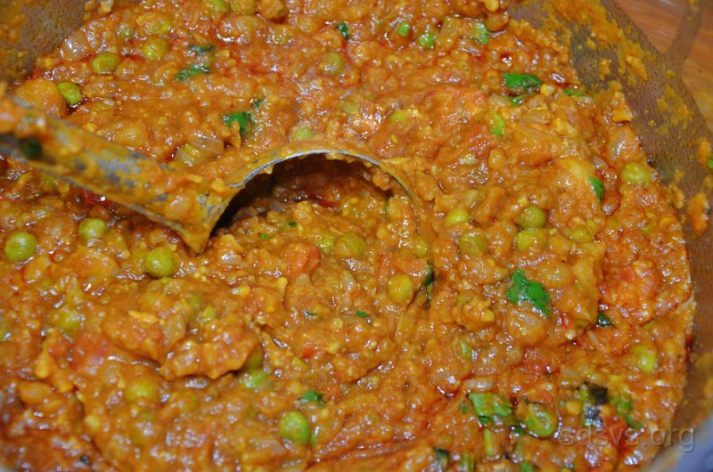 HJS_9171.JPG - Bhaji